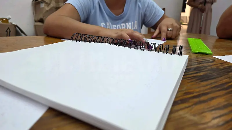 Discpacudad visual aprendizaje del Braille